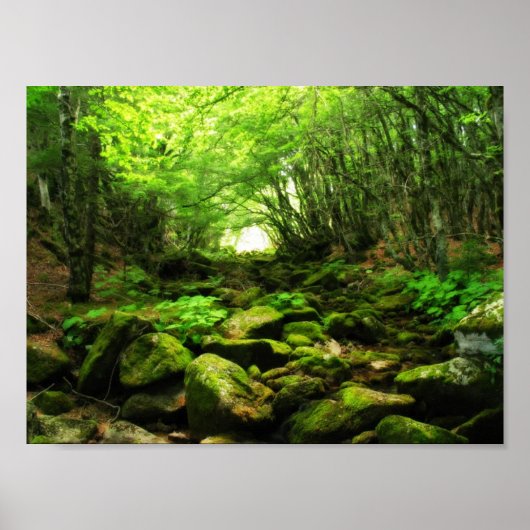 Grüner Tunnel Poster (Vorne)