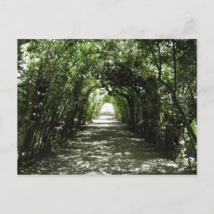 grüner Tunnel Postkarte