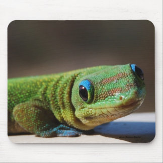 Grüner Typ Mousepad