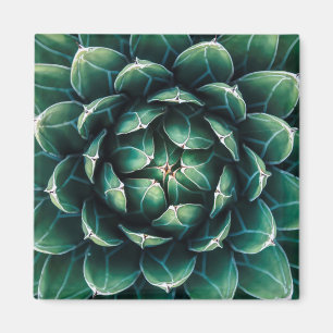 Grüner u. weißer Succulent Magnet