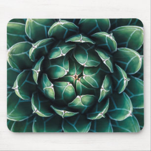 Grüner u. weißer Succulent Mousepad
