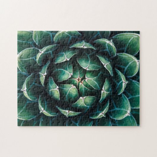 Grüner u. weißer Succulent Puzzle (Horizontal)