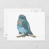 Grüner und blauer Budgisvogel Postkarte (Vorne/Hinten)