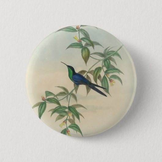 Grüner und blauer Gould Kolibri Button (Vorderseite)