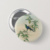 Grüner und blauer Gould Kolibri Button (Vorne & Hinten)