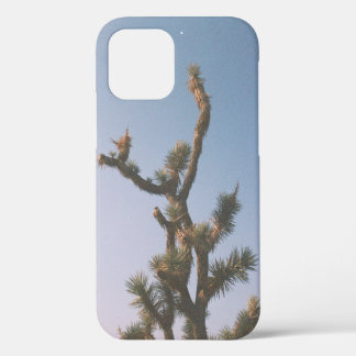 GRÜNER UND BRAUNER BAUM UNTER BLAUEM HIMMEL iPhone 12 HÜLLE