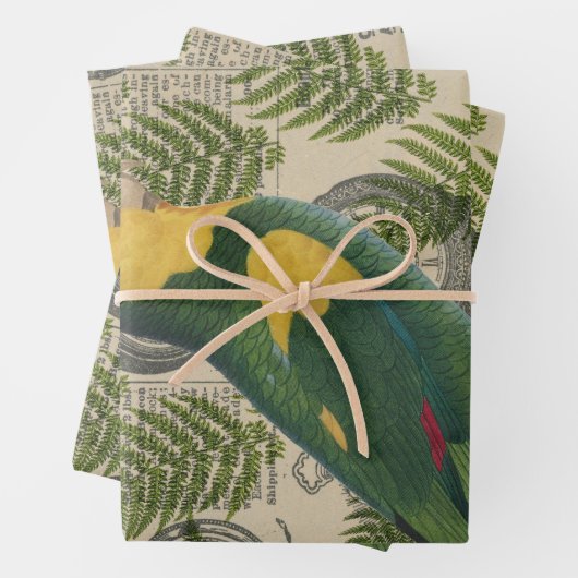 Grüner und gelber Papagei auf Blätter (Beispiel)