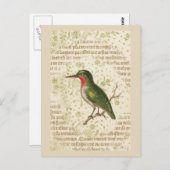 Grüner Vogel am Zweig Postkarte (Vorne/Hinten)
