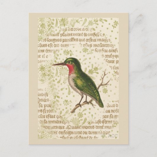 Grüner Vogel am Zweig Postkarte (Vorderseite)