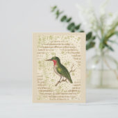 Grüner Vogel auf Ast Postkarte (Stehend Vorderseite)