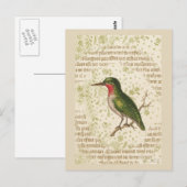 Grüner Vogel auf Ast Postkarte (Vorne/Hinten)