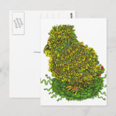 Grüner Vogel im Nest Postkarte (Vorne/Hinten)