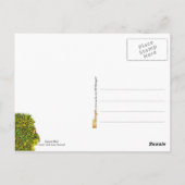 Grüner Vogel im Nest Postkarte (Rückseite)