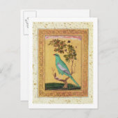 Grüner Vogel, Mughal (Gouache auf Papier) Postkarte (Vorne/Hinten)