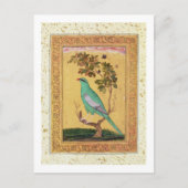 Grüner Vogel, Mughal (Gouache auf Papier) Postkarte (Vorderseite)