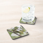 Grüner Vogel, Rot-Mit Augen Vireo, kanadische Foto Getränkeuntersetzer (Rechte Seite)