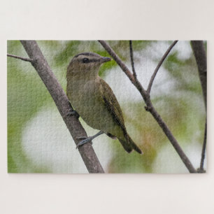 Grüner Vogel, Rot-Mit Augen Vireo, kanadische Foto Puzzle