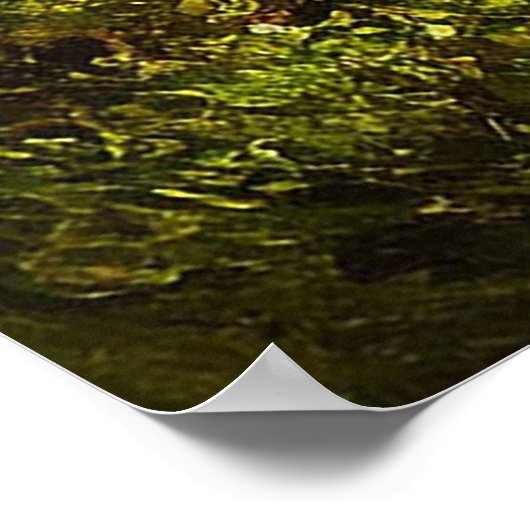 Grüner Wald mit hohen Pinienbäumen Poster (Ecke)