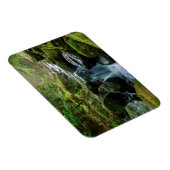 Grüner Wald und Fluss Magnet (Rechte Seite)