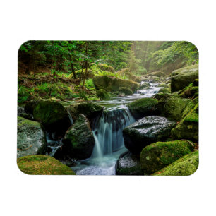 Grüner Wald und Fluss Magnet