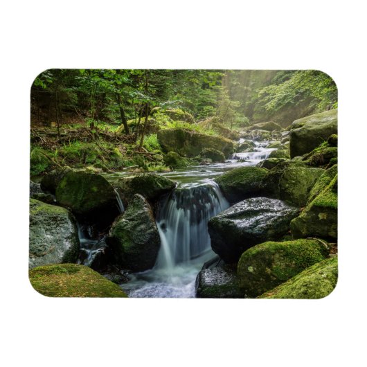 Grüner Wald und Fluss Magnet (Horizontal)