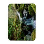 Grüner Wald und Fluss Magnet (Vertikal)