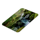 Grüner Wald und Fluss Magnet (Linke Seite)