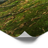 Grüner Wald und Fluss Poster (Ecke)