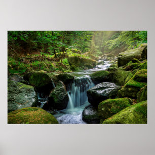 Grüner Wald und Fluss Poster