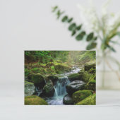 Grüner Wald und Fluss Postkarte (Stehend Vorderseite)