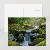Grüner Wald und Fluss Postkarte (Vorne/Hinten)