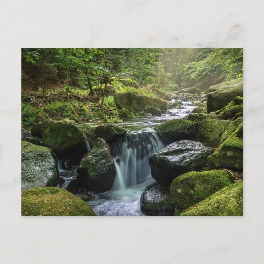 Grüner Wald und Fluss Postkarte (Vorderseite)