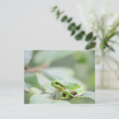 Grüner Waldfrosch auf der Postkarte (Stehend Vorderseite)