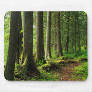 Grüner Waldweg landschaftlich Mousepad