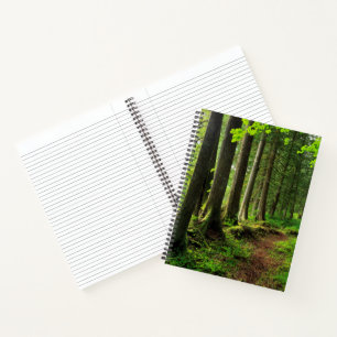 Grüner Waldweg landschaftlich Notizblock