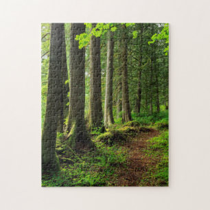 Grüner Waldweg landschaftlich Puzzle