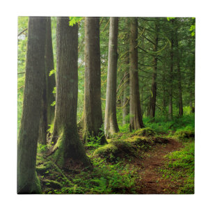 Grüner Waldweg Scenic Fliese