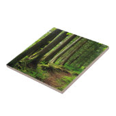 Grüner Waldweg Scenic Fliese (Seite)