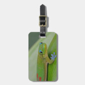 grüner Wasserbrotwurzel-Gepäckanhänger des Gecko Gepäckanhänger (Vorderseite vertikal)