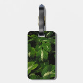 grüner Wasserbrotwurzel-Gepäckanhänger des Gecko Gepäckanhänger (Rückseite vertikal)