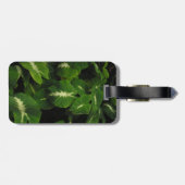 grüner Wasserbrotwurzel-Gepäckanhänger des Gecko Gepäckanhänger (Rückseite horizontal)