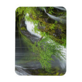 Grüner Wasserfall Landschaft Magnet (Vertikal)