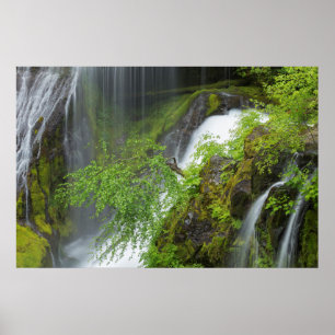 Grüner Wasserfall Landschaft Poster