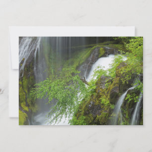 Grüner Wasserfall Landschaftlich Dankeskarte