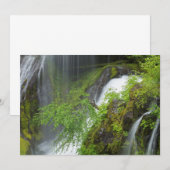 Grüner Wasserfall Landschaftlich Dankeskarte (Vorne/Hinten)