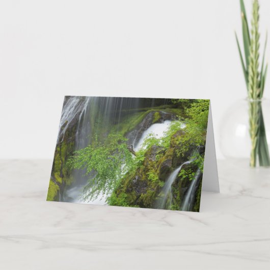 Grüner Wasserfall Landschaftlich Karte (Vorderseite)