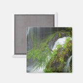 Grüner Wasserfall Landschaftlich Magnet (Vorderseite/Rückseite)