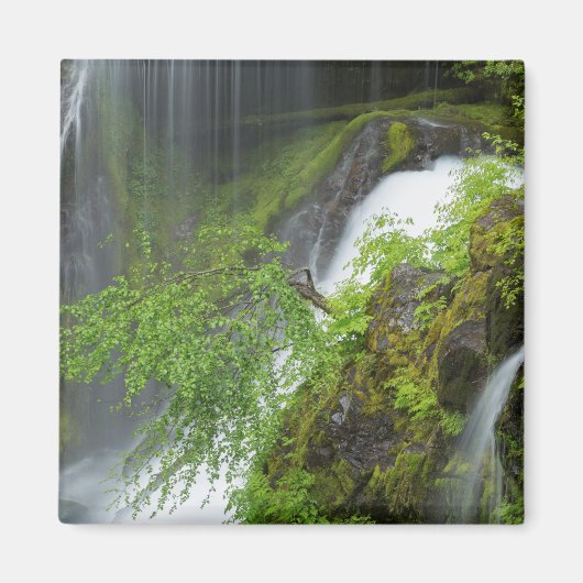Grüner Wasserfall Landschaftlich Magnet (Vorne)