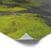 Grüner Wasserfall Landschaftlich Poster (Ecke)