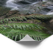 Grüner Wasserfall Poster (Ecke)